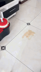🧼 360° Spin Cleaning Mop (Dual Bucket System)