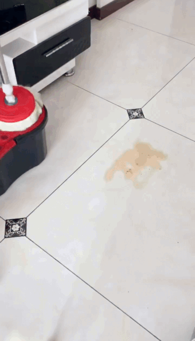 🧼 360° Spin Cleaning Mop (Dual Bucket System)